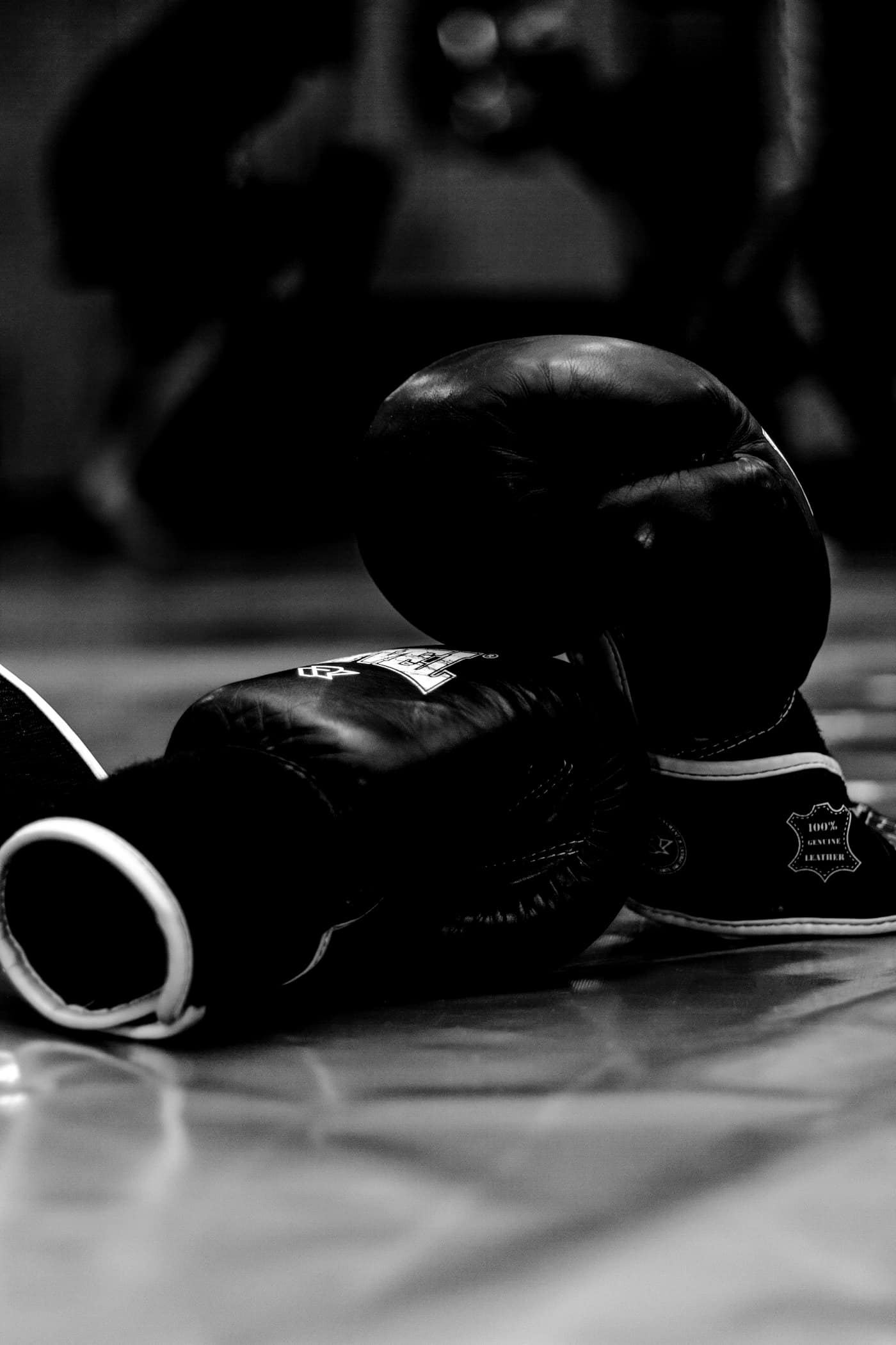 Paire de gants de boxe posée sur le tapis